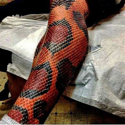 reptile tattoo|125+ Snake Tattoo Ideas That Are Perfect